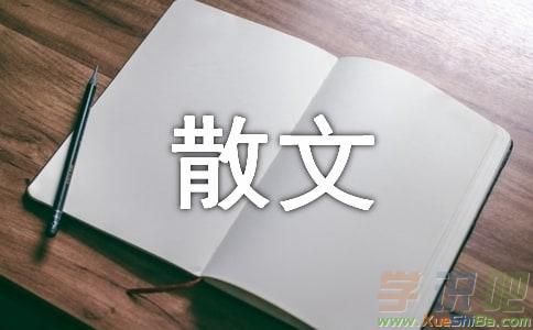 2017朱自清散文集摘抄片段